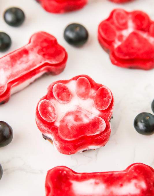 Mixed Berry Frozen Dog Treats