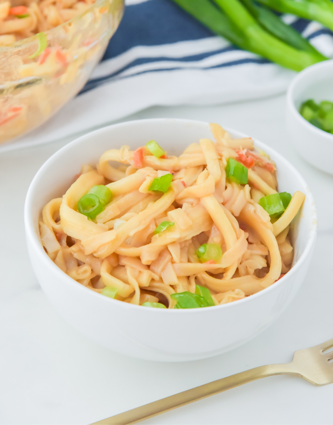 Clearance - Teriyaki Udon Noodles