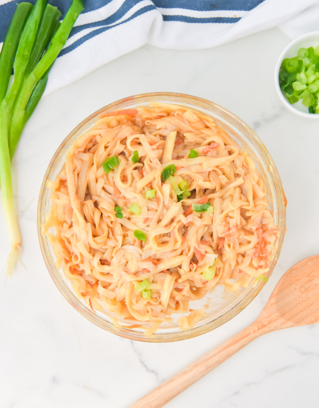Clearance - Teriyaki Udon Noodles