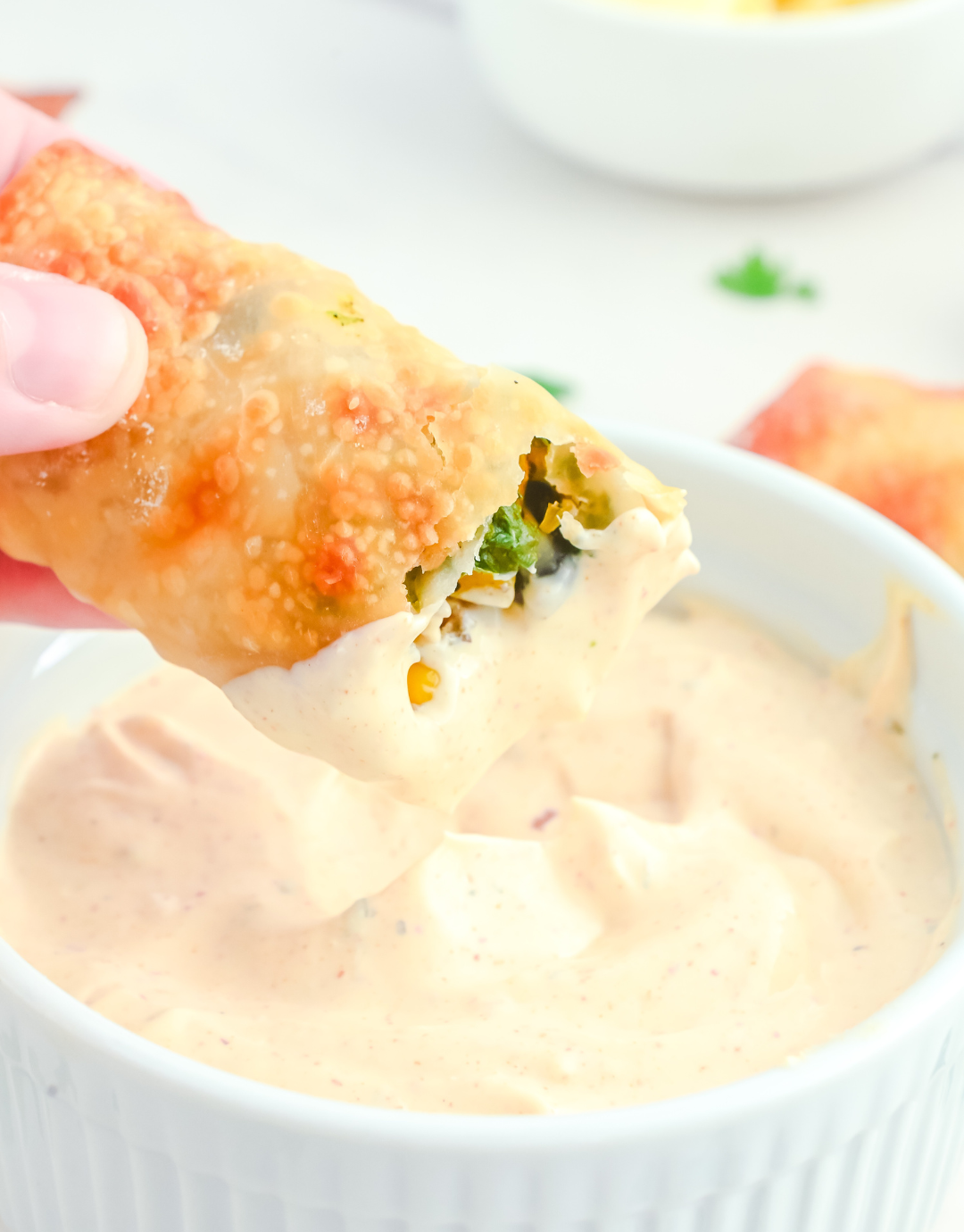 $79 SALE -Air Fryer Southwest Chicken Egg Rolls