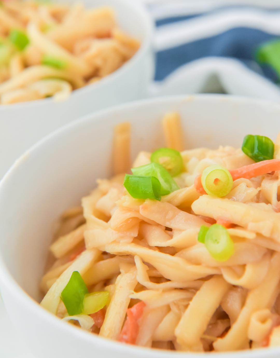 Clearance - Teriyaki Udon Noodles