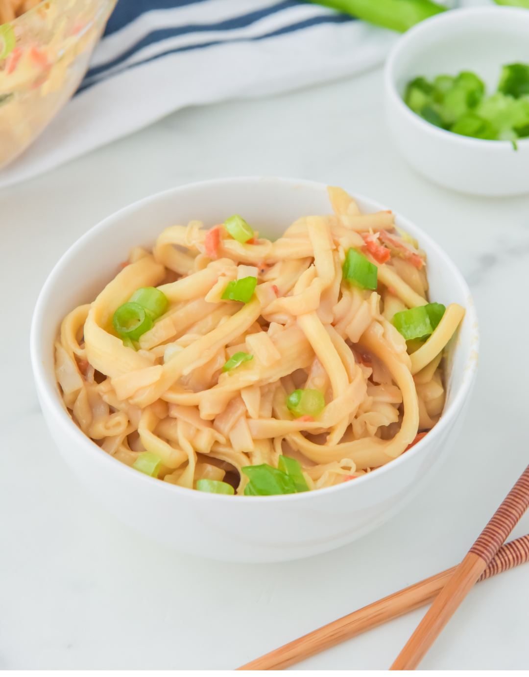 Clearance - Teriyaki Udon Noodles
