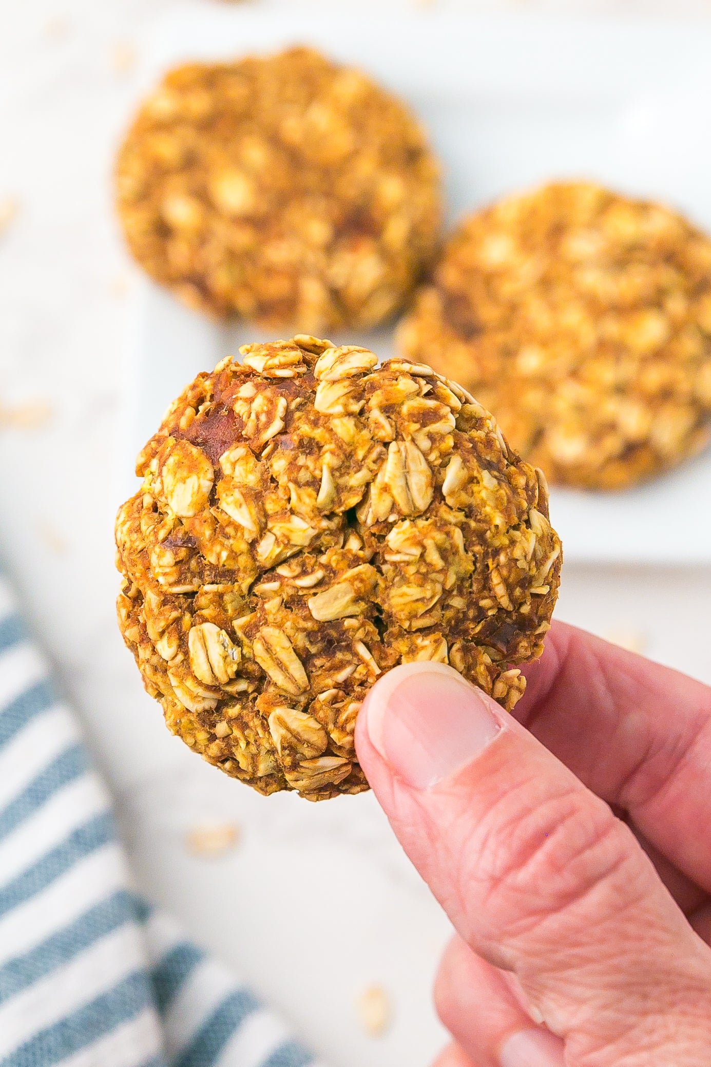 Clearance - Healthy Pumpkin Oat Cookies