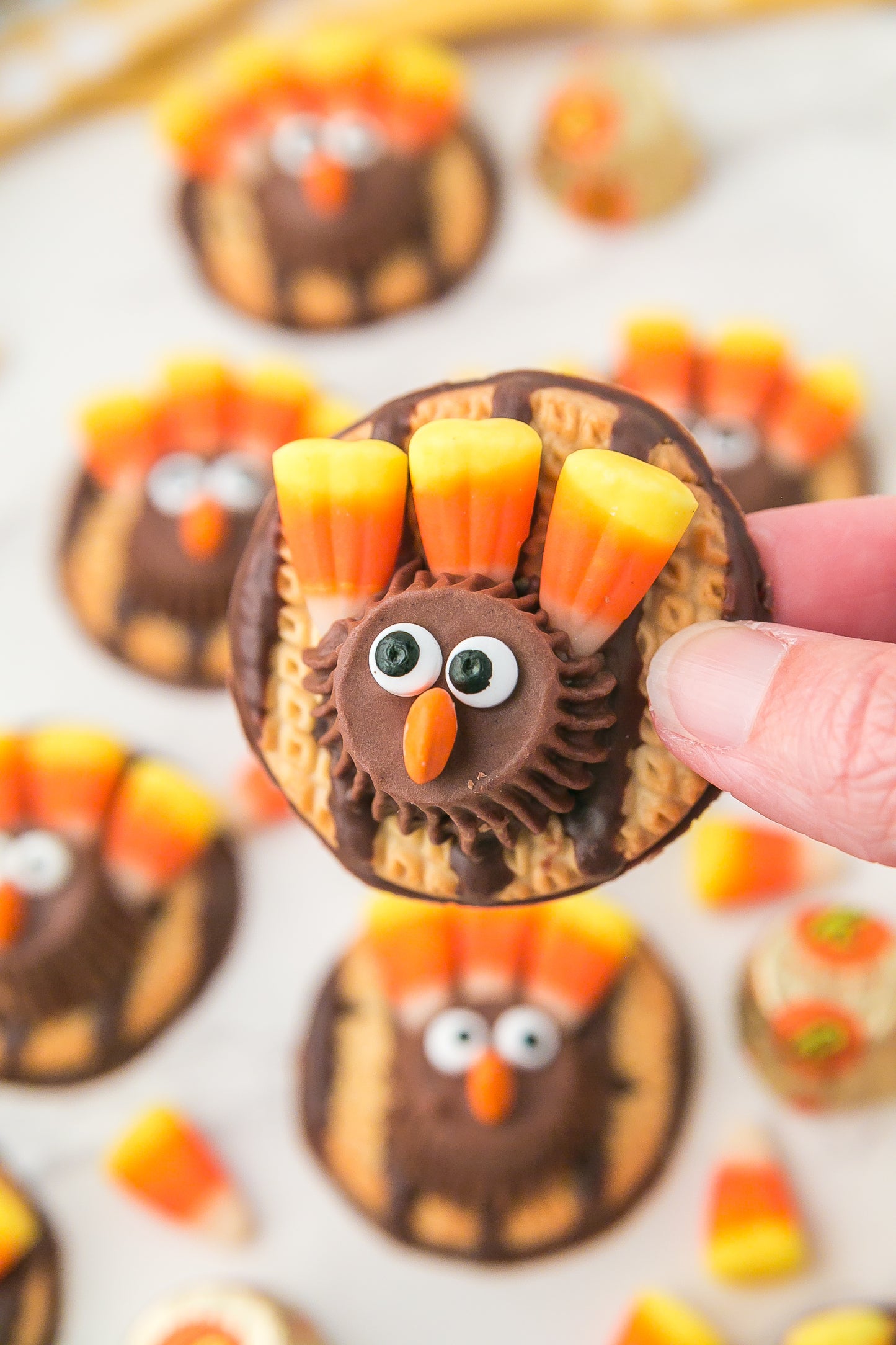 Fudge Stripe Turkey Cookies