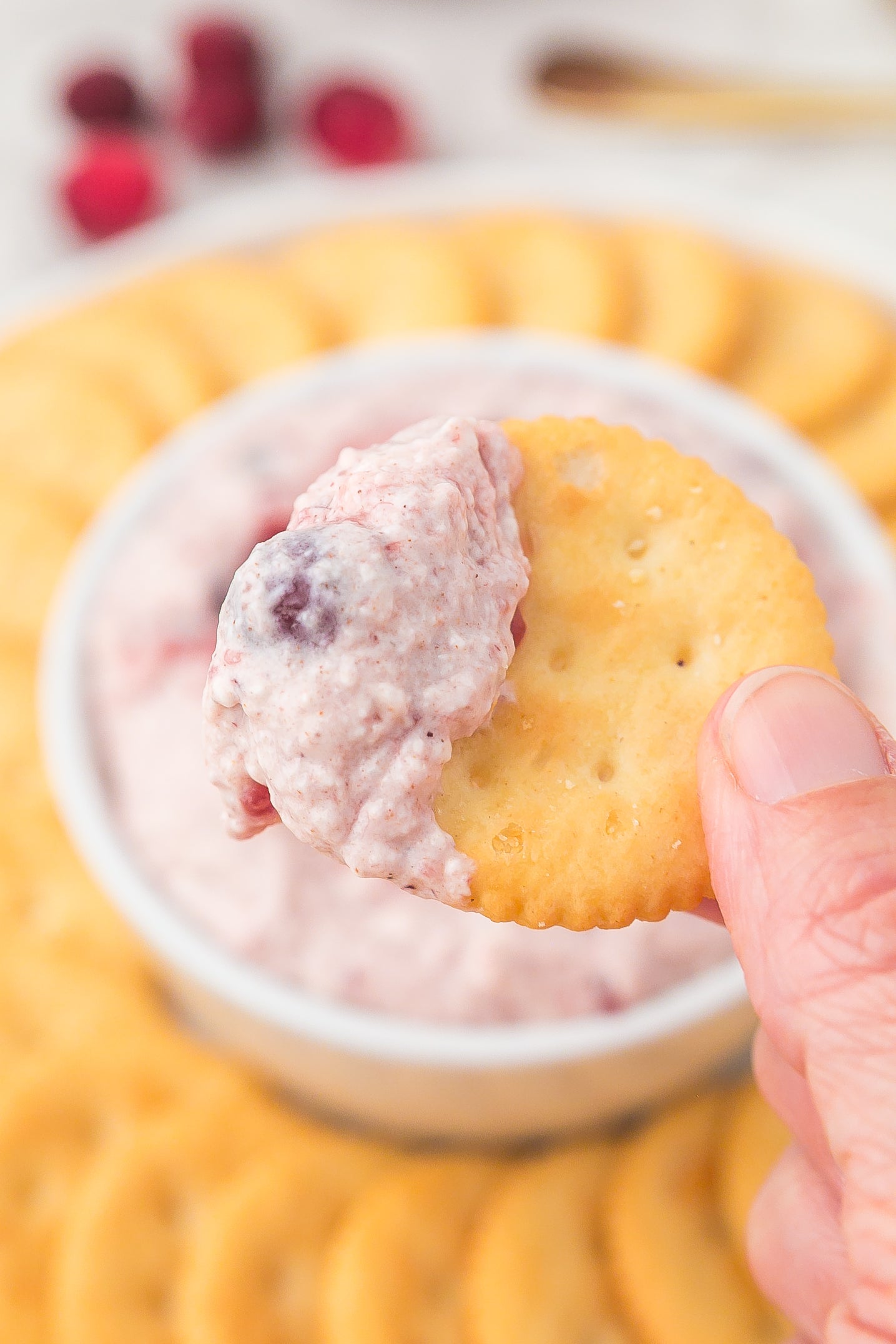 Cranberry Cream Cheese Dip