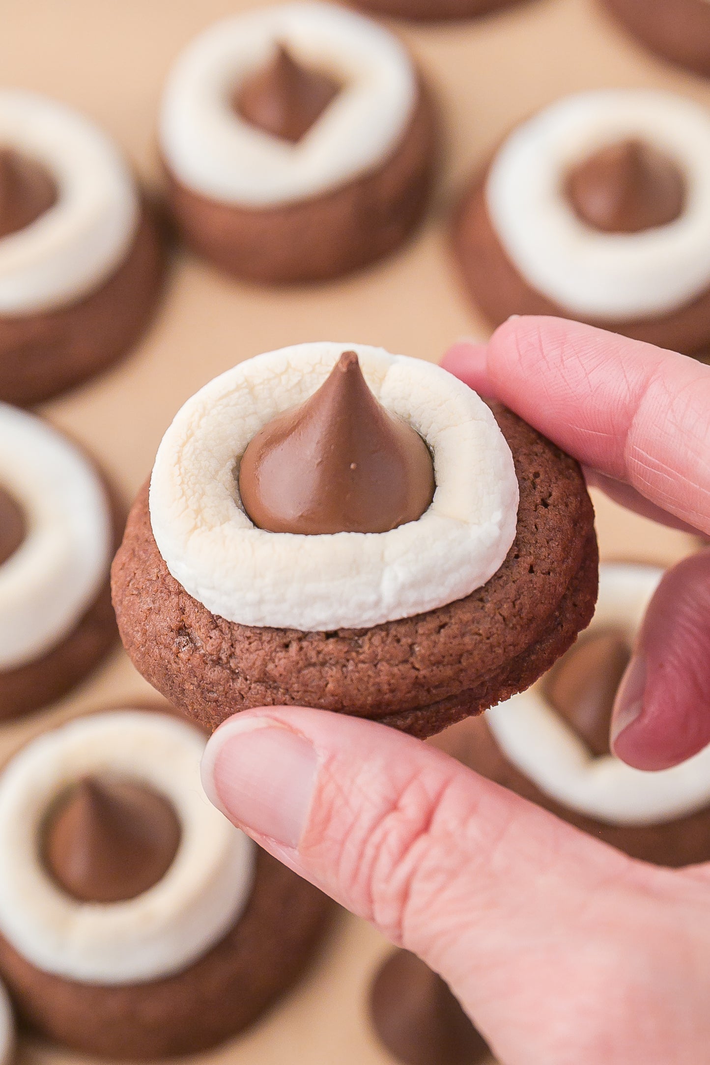 Hot Cocoa Blossom Cookies