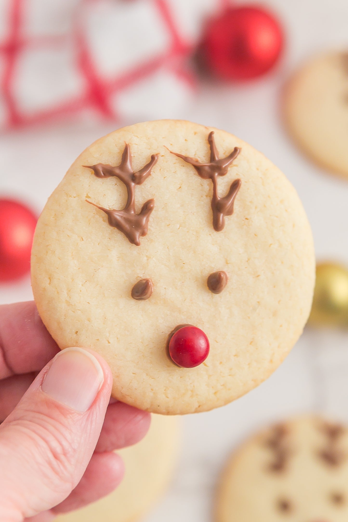 Rudolph Sugar Cookies